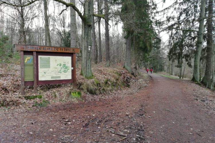 Hugenottenweg am Warndtweiher